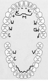 Ilustracja do pytania 40