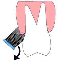 Ilustracja do pytania 5