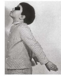 Ilustracja do pytania 8