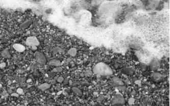 Ilustracja do pytania