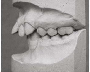 Ilustracja do pytania 36