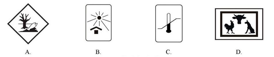 Ilustracja do pytania 29