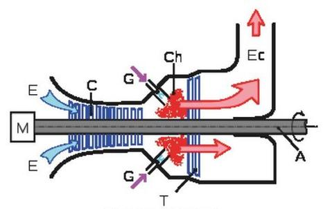 Ilustracja do pytania 20
