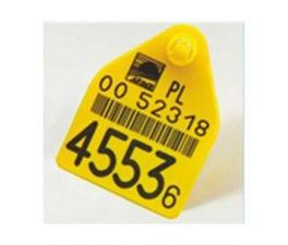 Ilustracja do pytania