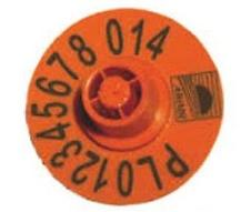 Ilustracja do pytania