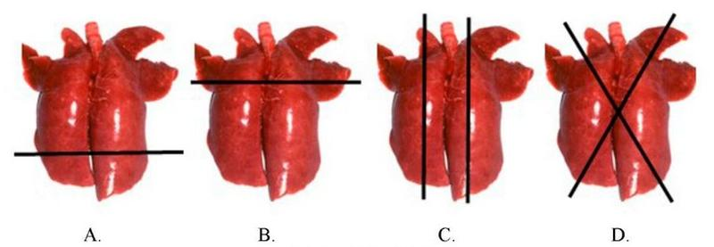 Ilustracja do pytania 2
