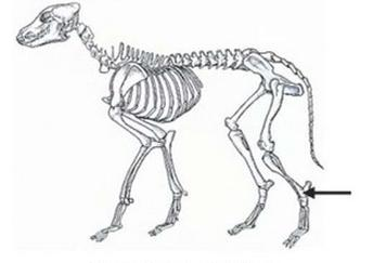 Ilustracja do pytania 3