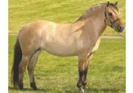 Ilustracja do pytania 12