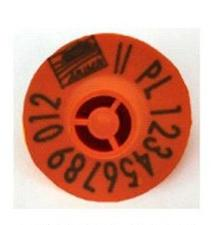 Ilustracja do pytania 19