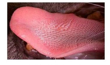 Ilustracja do pytania 8