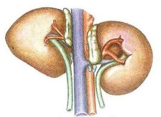 Ilustracja do pytania 24