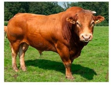 Ilustracja do pytania 5