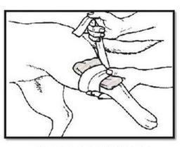 Ilustracja do pytania 33