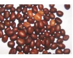 Ilustracja do pytania 34