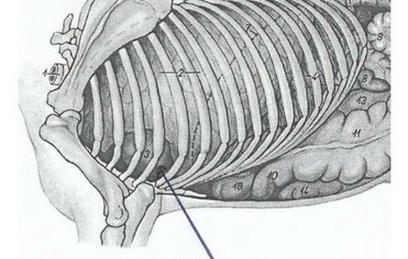 Ilustracja do pytania 24