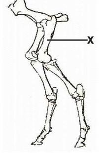 Ilustracja do pytania 5