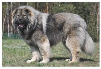 Ilustracja do pytania 4