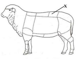 Ilustracja do pytania 12