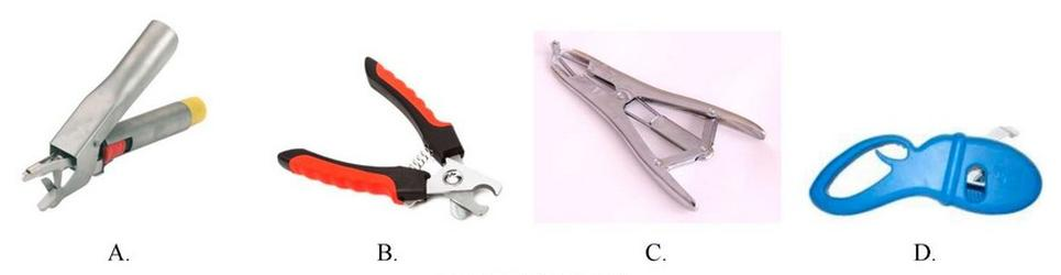 Ilustracja do pytania