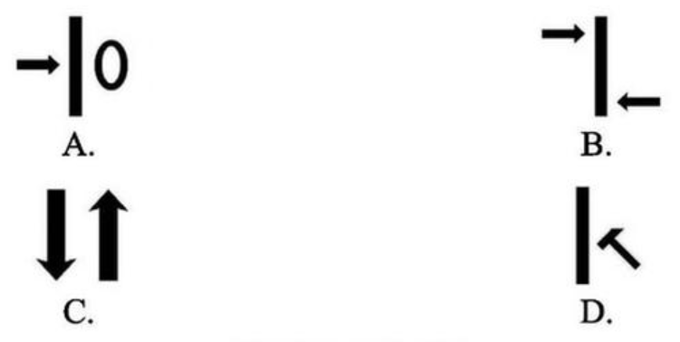 Ilustracja do pytania 13