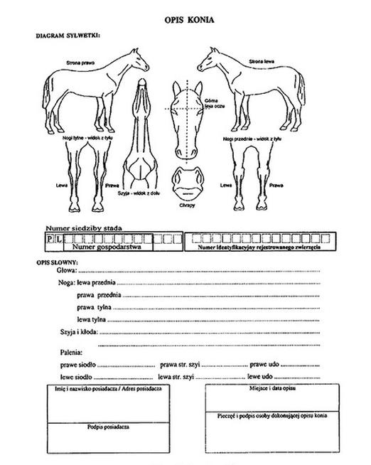 Ilustracja do pytania 24