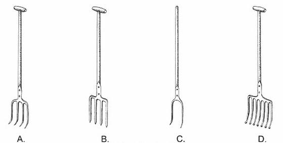 Ilustracja do pytania 25