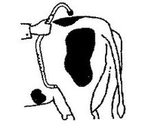 Ilustracja do pytania 35