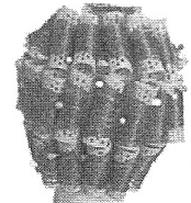 Ilustracja do pytania 6