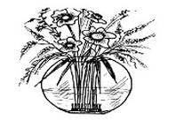 Ilustracja do pytania 25