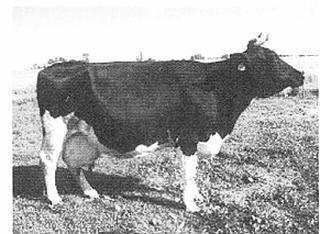 Ilustracja do pytania 34