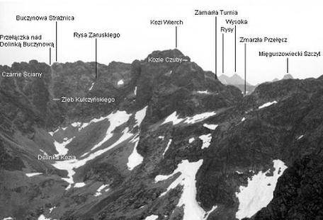 Ilustracja do pytania