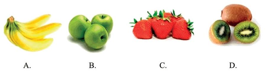 Ilustracja do pytania 27