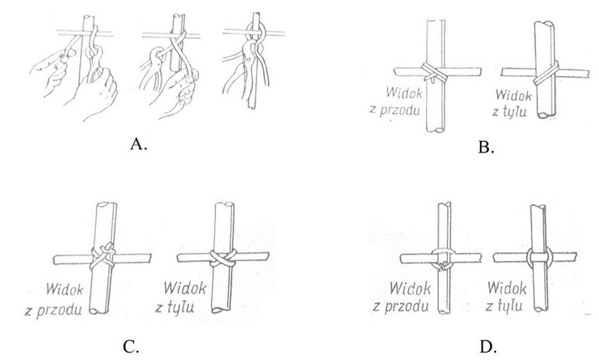 Ilustracja do pytania 8