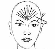 Ilustracja do pytania