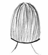 Ilustracja do pytania 17