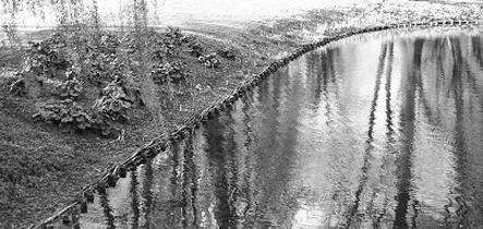 Ilustracja do pytania 36