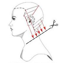 Ilustracja do pytania 11