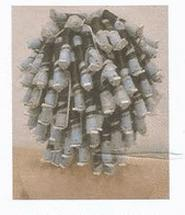 Ilustracja do pytania 31