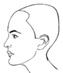 Ilustracja do pytania 12