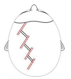 Ilustracja do pytania 28