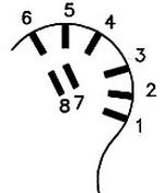 Ilustracja do pytania 13