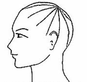 Ilustracja do pytania 15