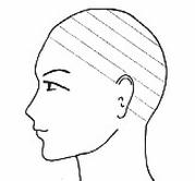 Ilustracja do pytania