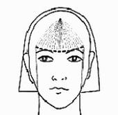 Ilustracja do pytania 28