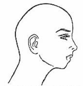 Ilustracja do pytania 17