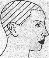 Ilustracja do pytania 15