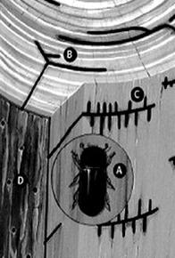 Ilustracja do pytania