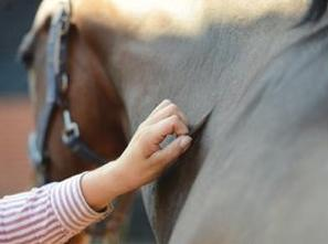 Ilustracja do pytania