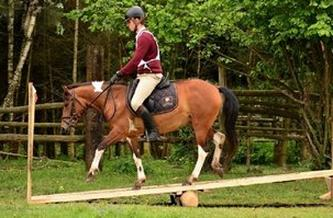 Ilustracja do pytania 36