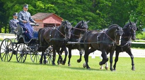 Ilustracja do pytania